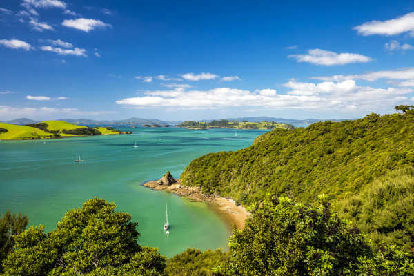 iStock 1126804036