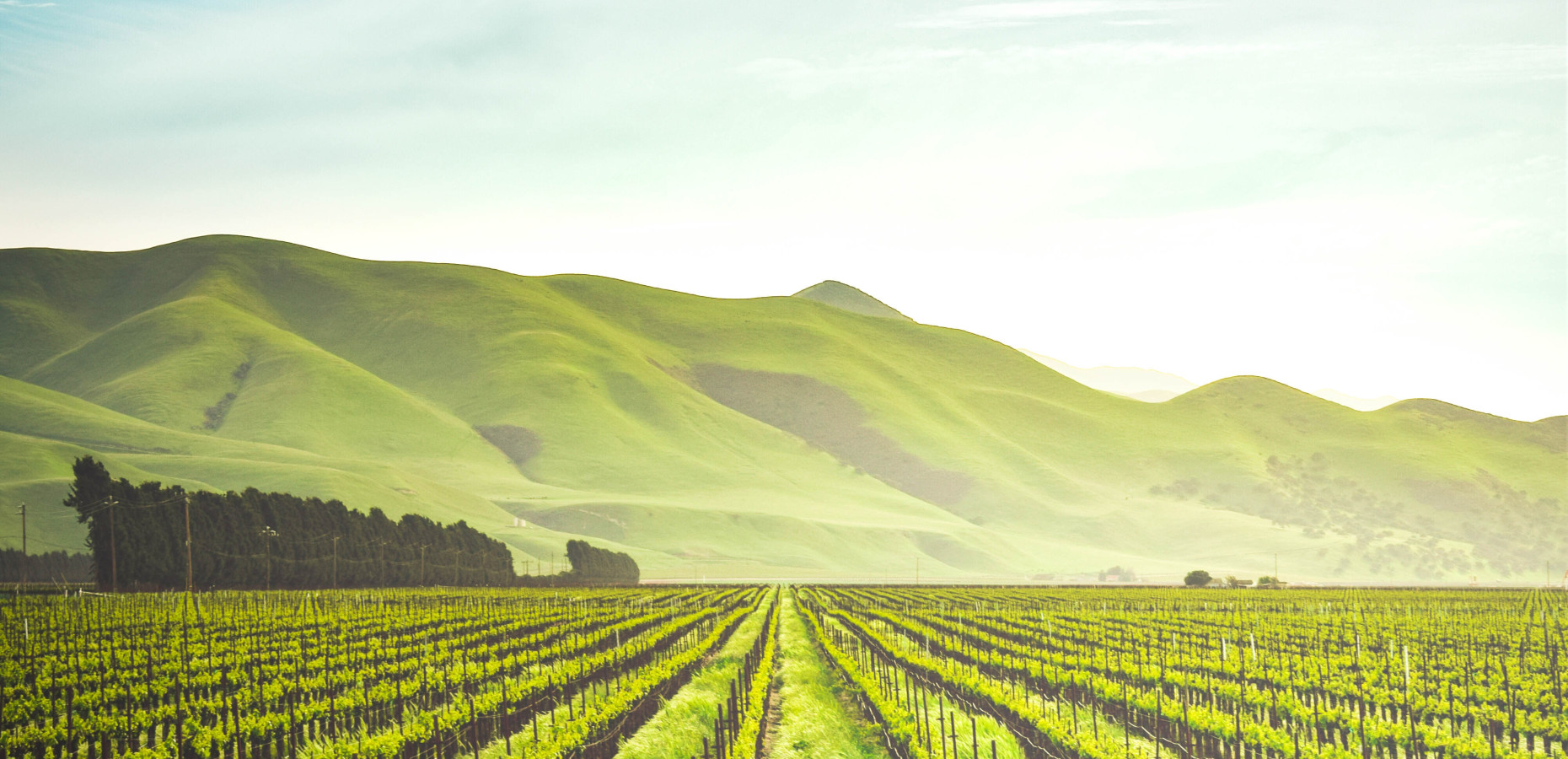 adele payman 2oYMwuFgnTg unsplash