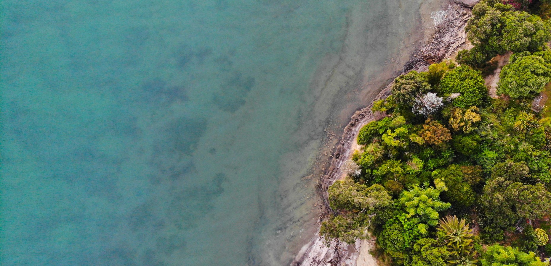 Birdseye view of a beach