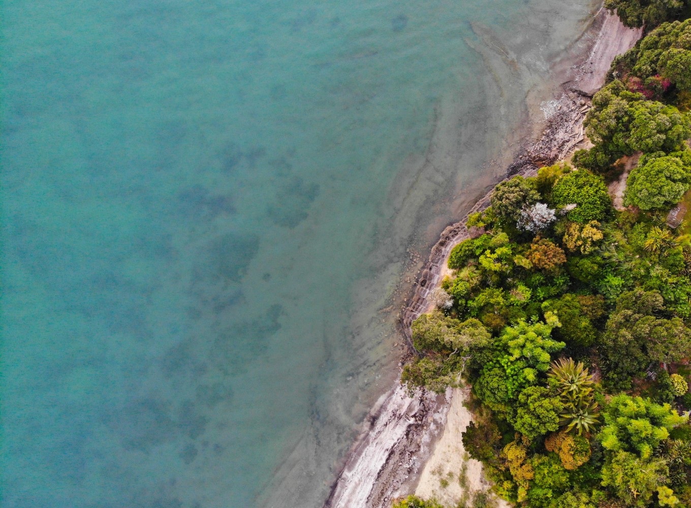 Birdseye view of a beach