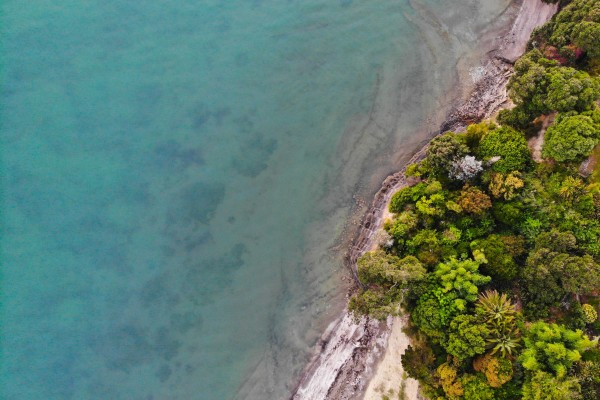 Birdseye view of a beach