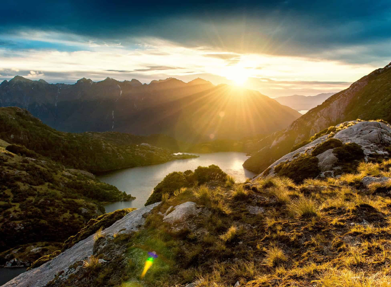 new zealand 3