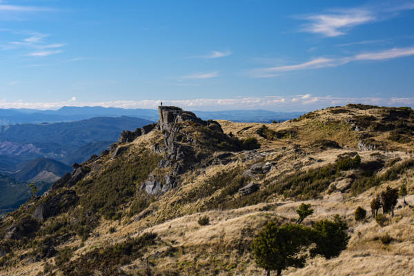 iStock 1324601370