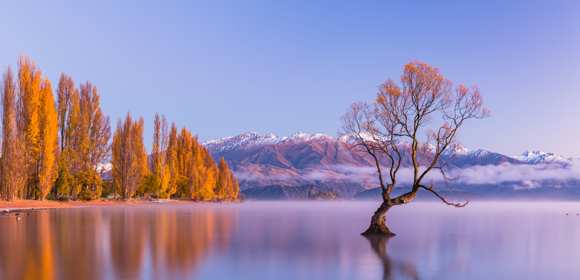iStock 2233603829