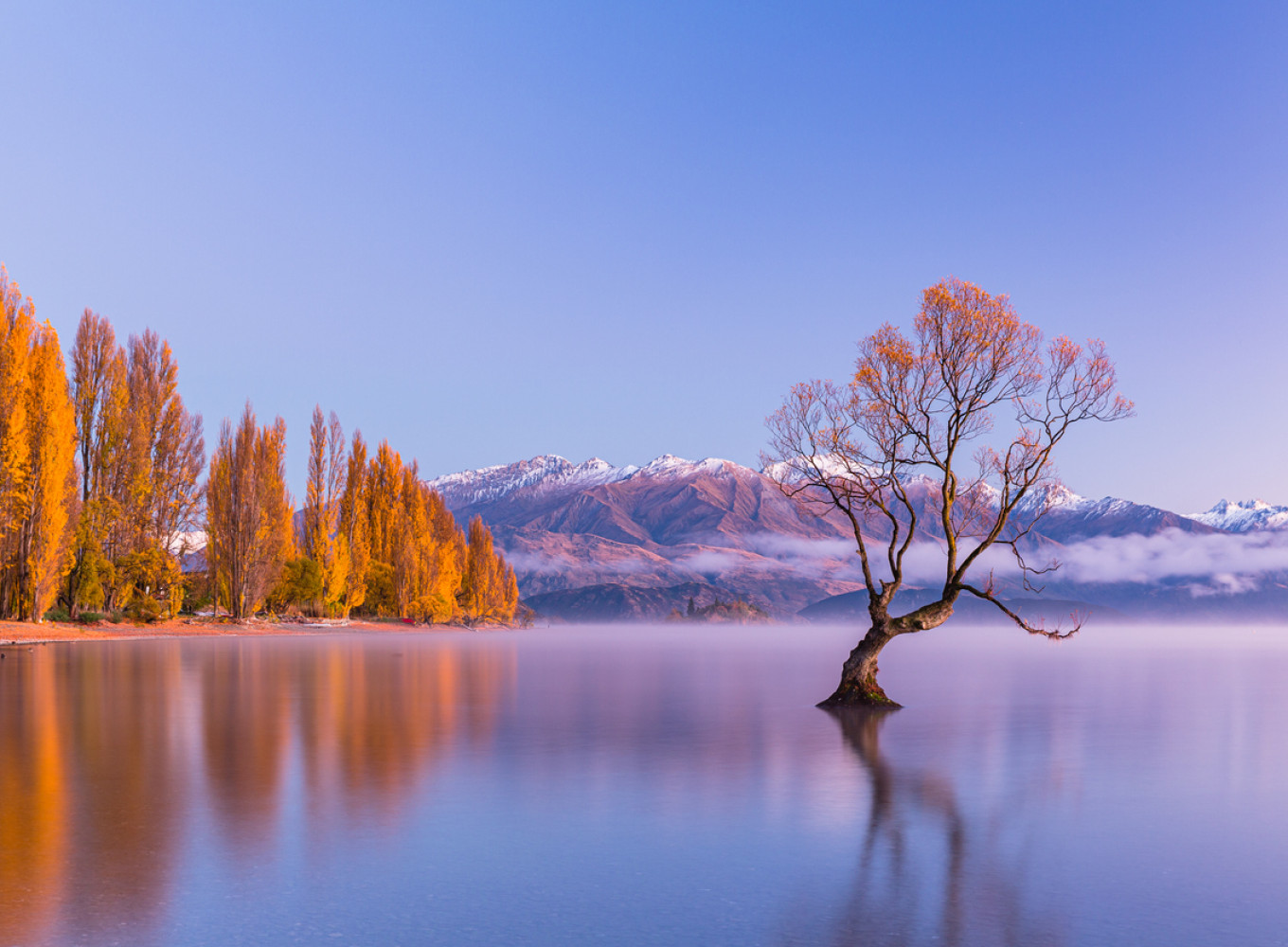 iStock 2233603829