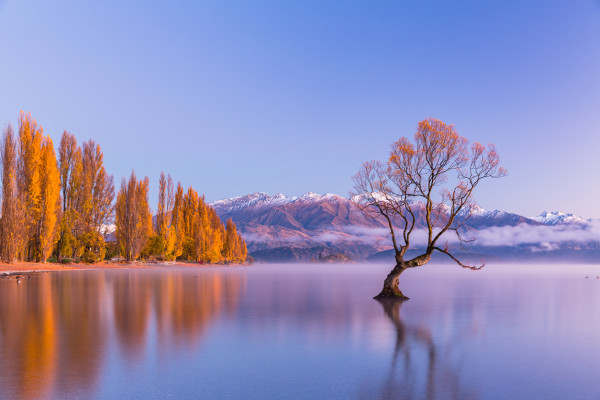 iStock 2233603829