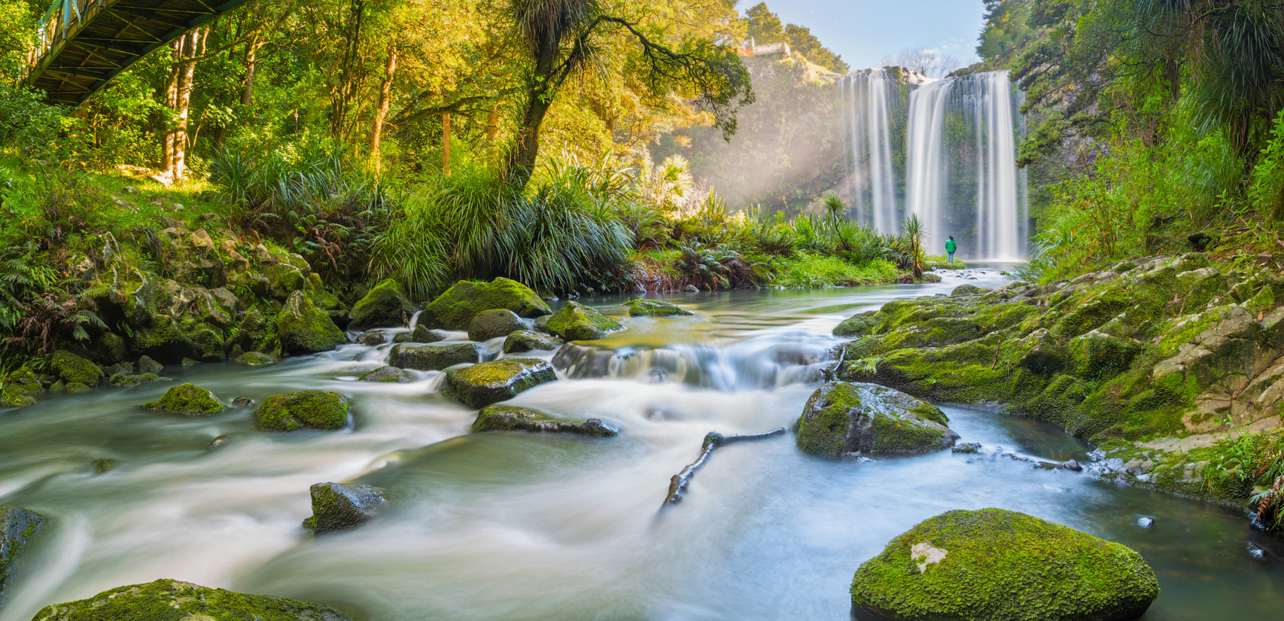 iStock 539131412