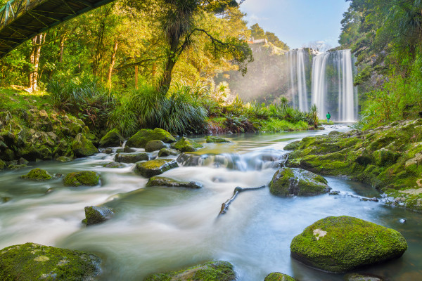 iStock 539131412